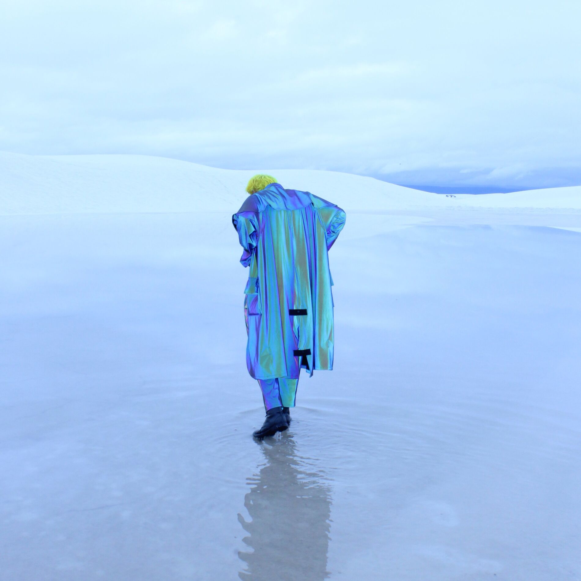 Album cover of MERIDIAN : vol 1
