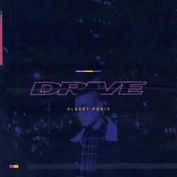Cover of Drive
