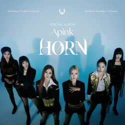 Cover of HORN