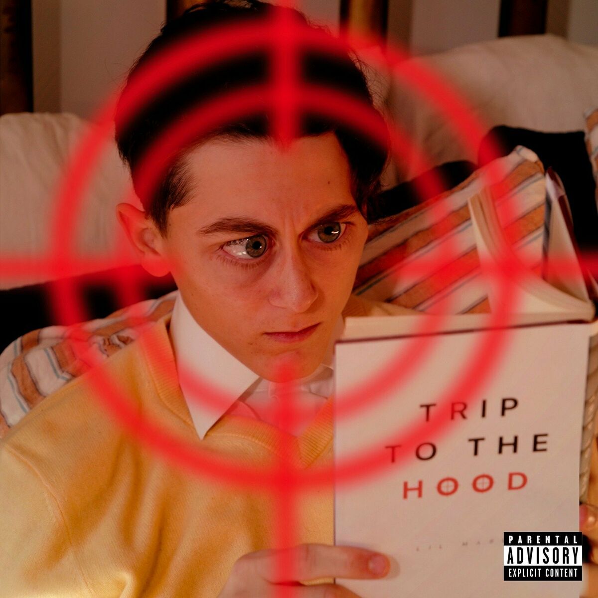 Album cover of TRIP TO THE HOOD