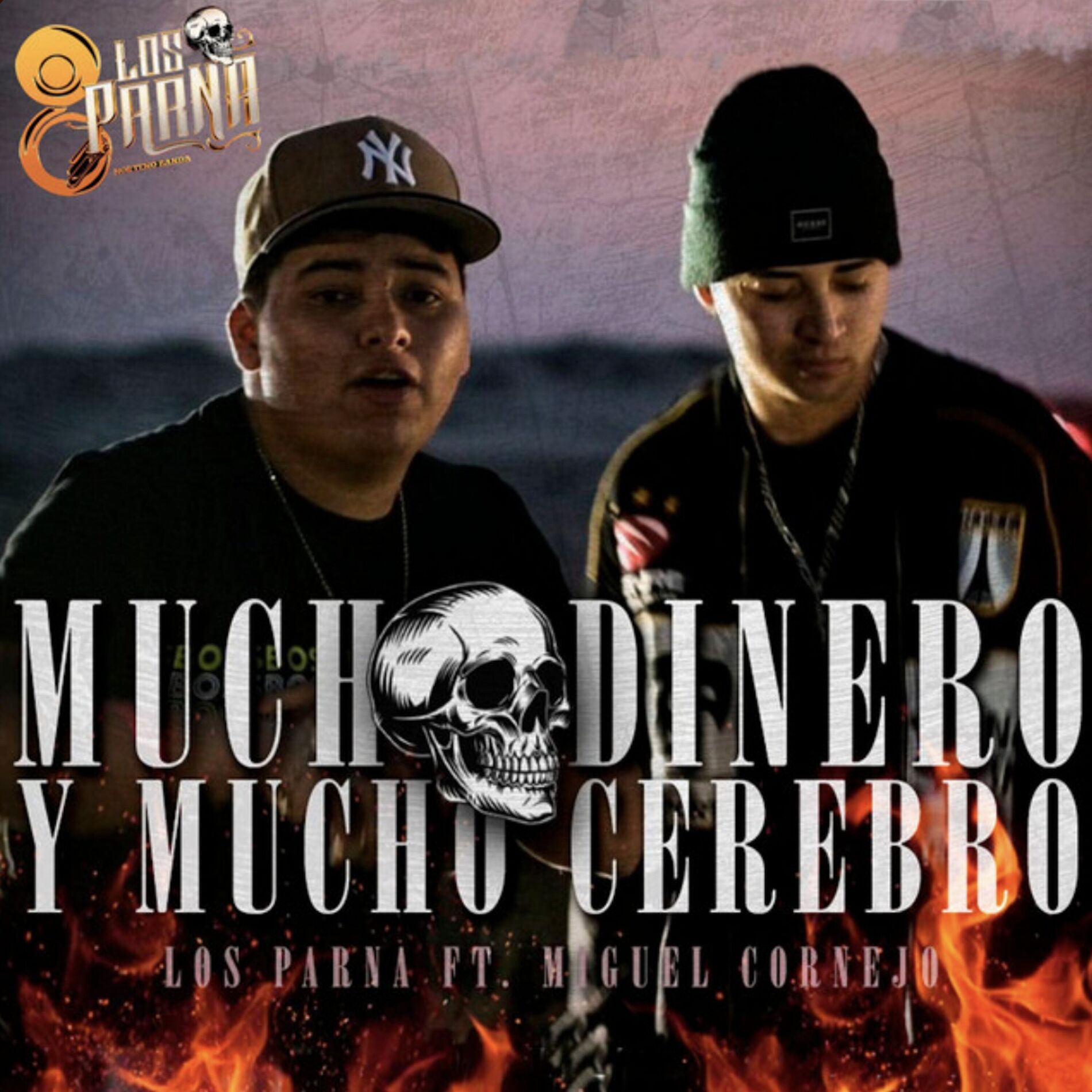 Album cover of Mucho Dinero y Mucho Cerebro