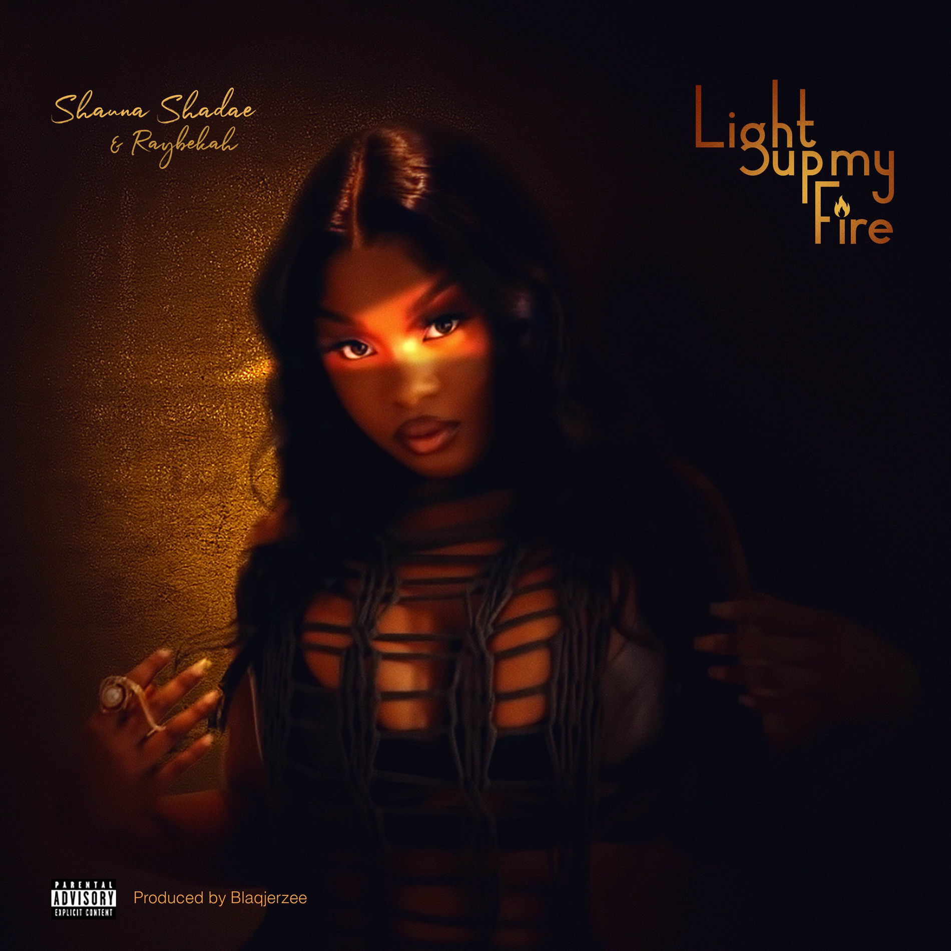 Album cover of Light Up My Fire