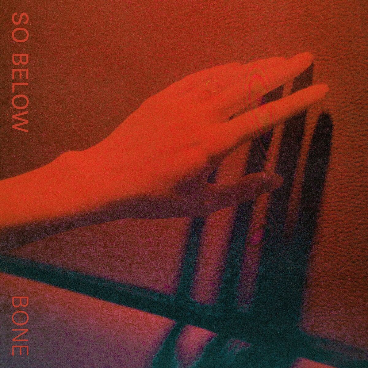 Album cover of Bone