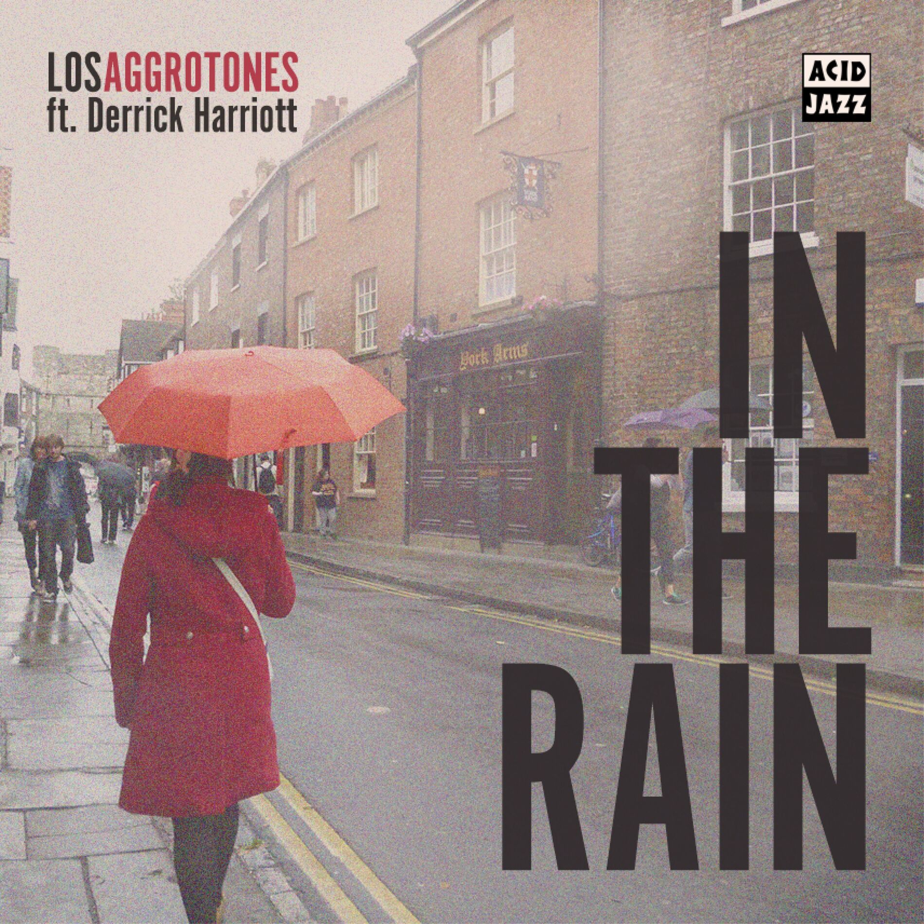 Album cover of In The Rain