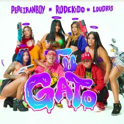 Cover of Tu Gato