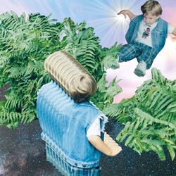Cover of Fragments