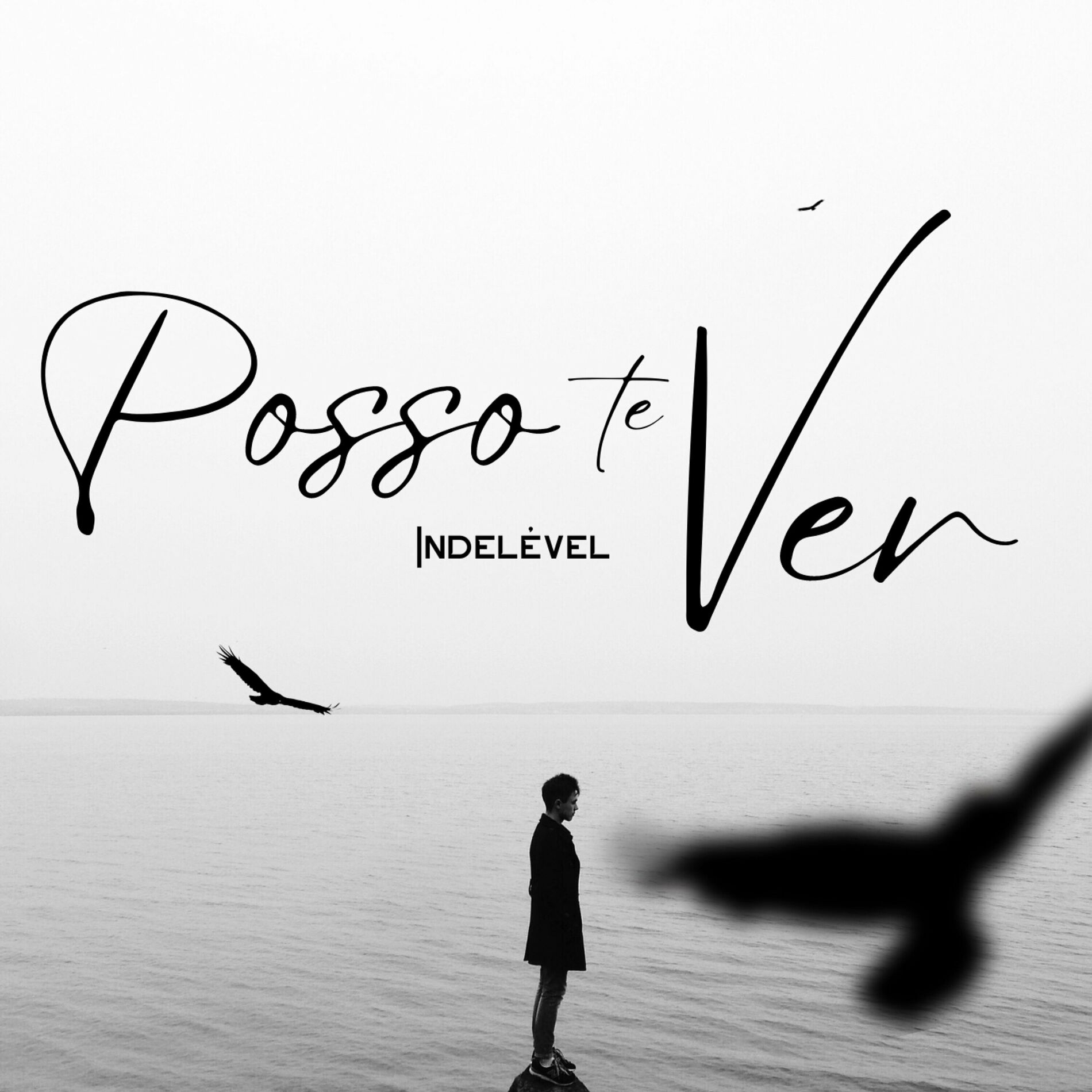 Album cover of Posso Te Ver