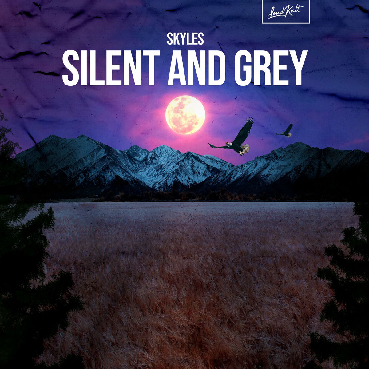 Album cover of Silent and Grey