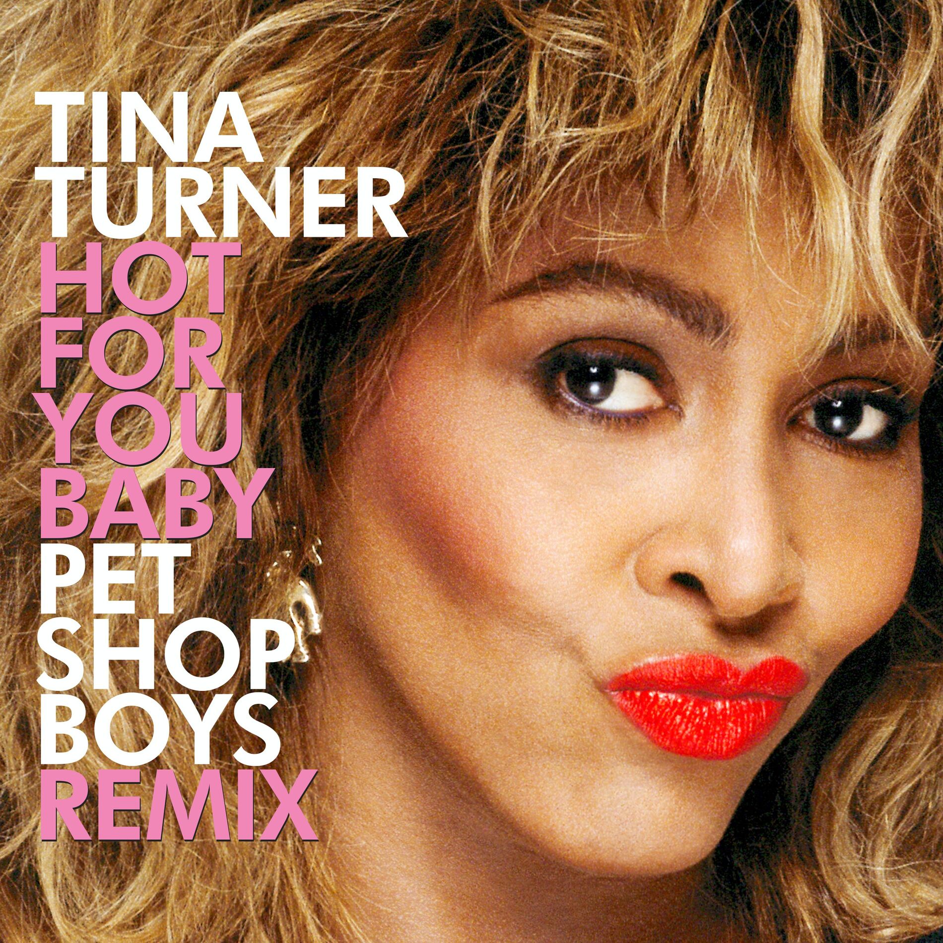 Album cover of Hot For You Baby (Pet Shop Boys Remix)