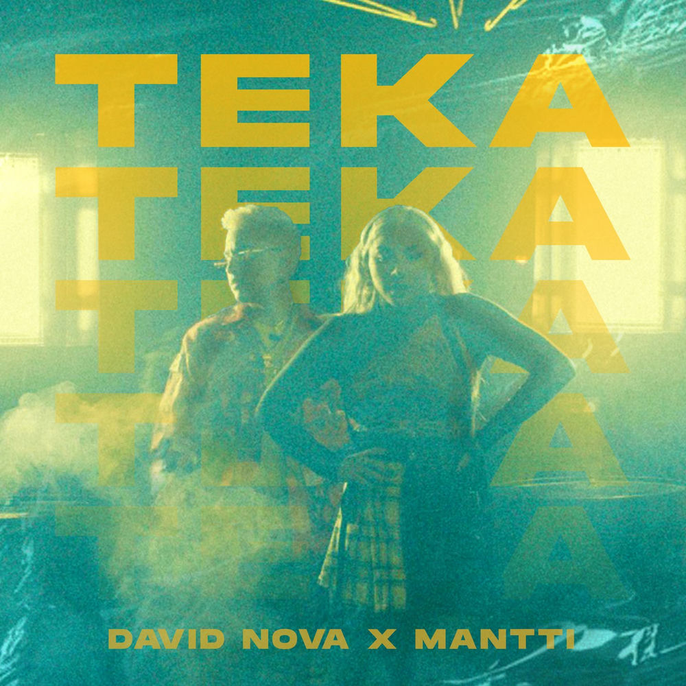Album artwork for Teka by David Novak