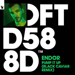 Cover of Pump It Up (Black Caviar Remix)