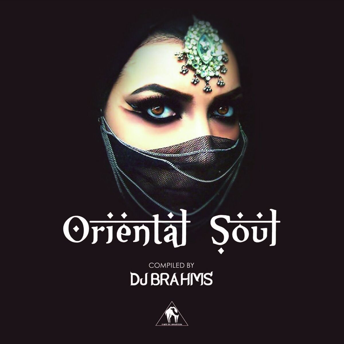 Album cover of Oriental Soul (Compiled by DJ Brahms)