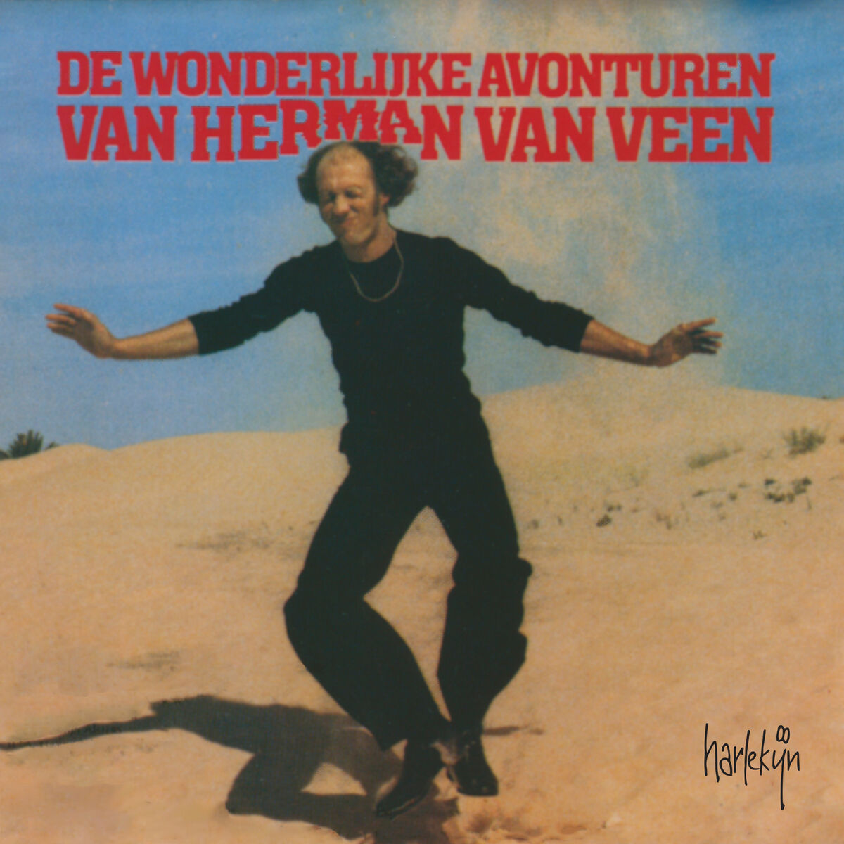 Album cover of De Wonderlijke Avonturen Van Herman Van Veen
