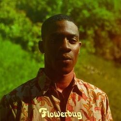 Cover of Flowerbug (Interlude)