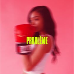 Cover of Problème