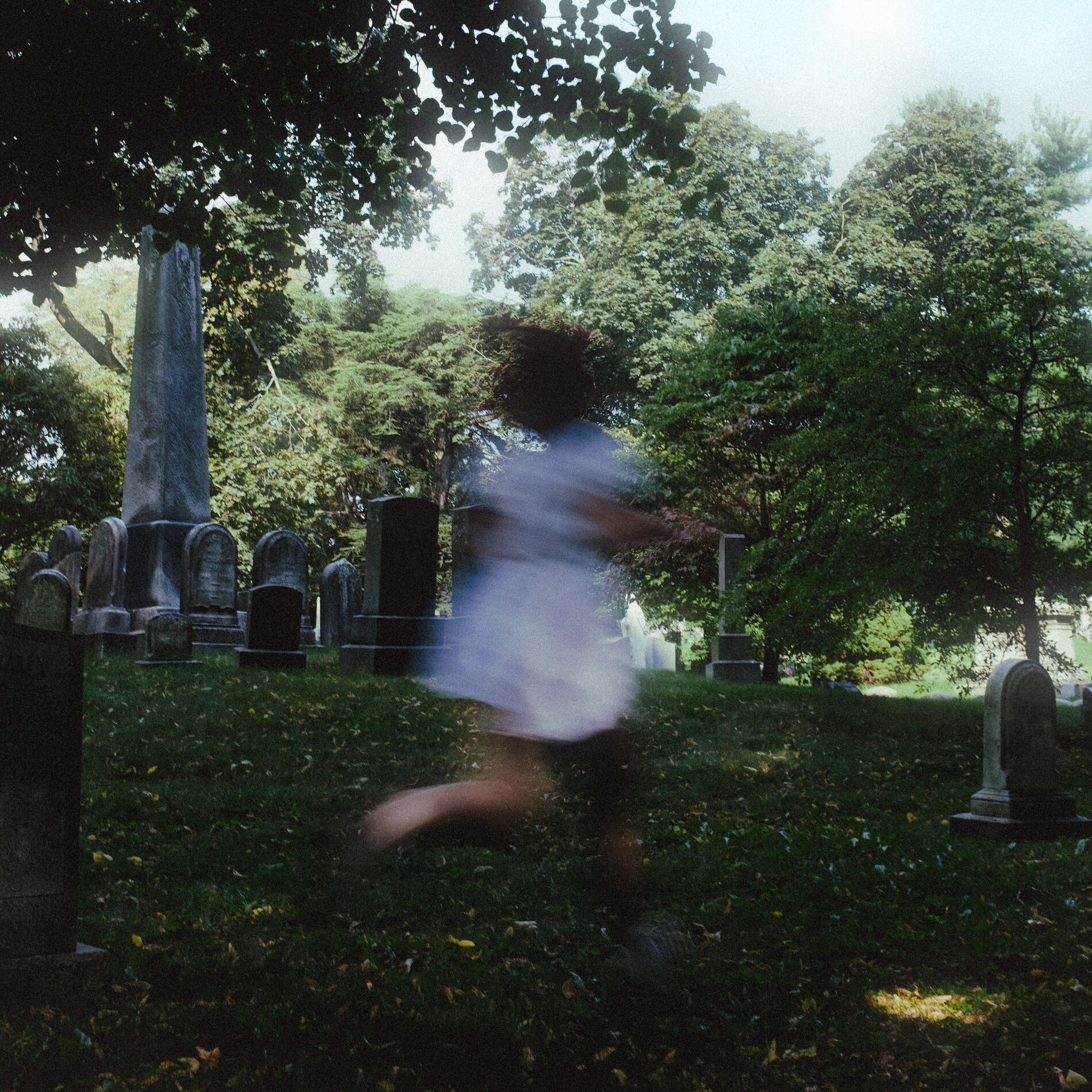 Album cover of Polly