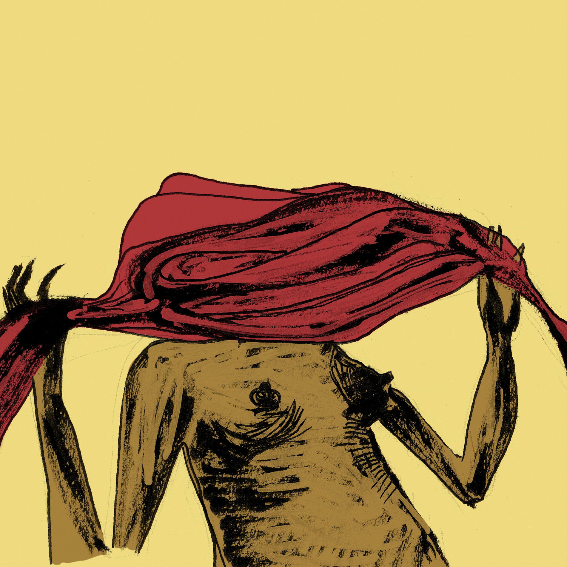 Album cover of Velho Amarelo