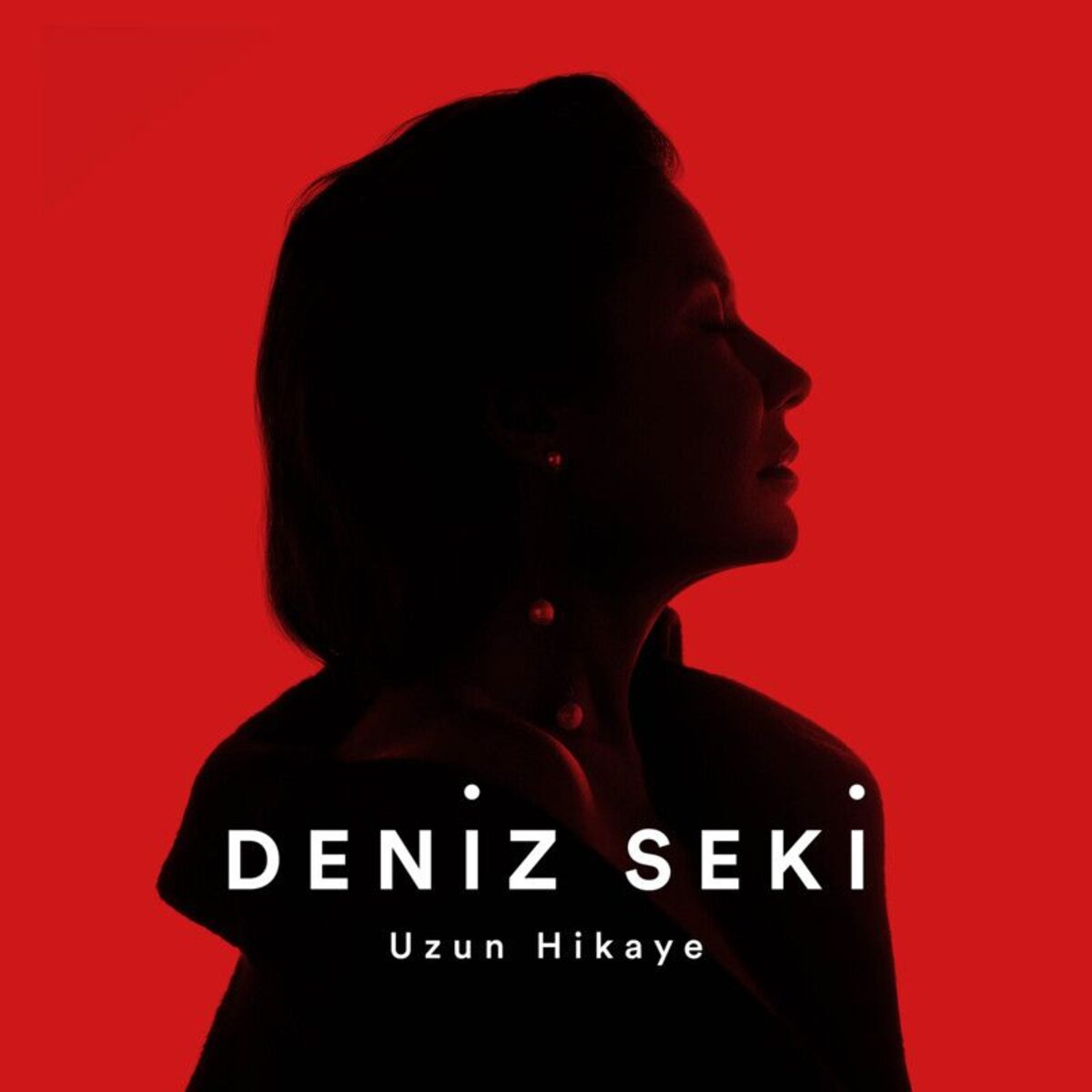 Album cover of Uzun Hikaye