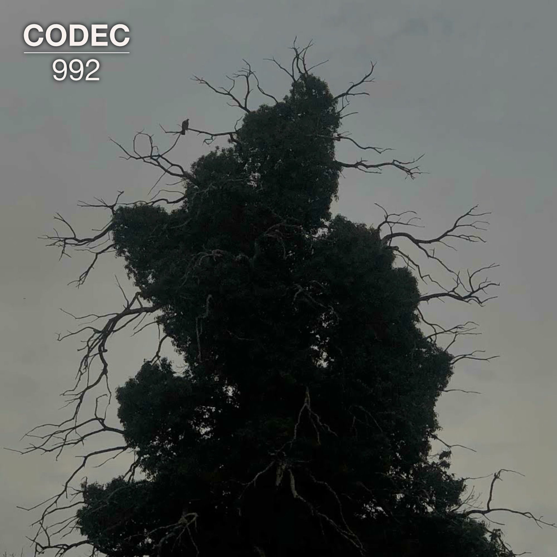 Album cover of Awakening