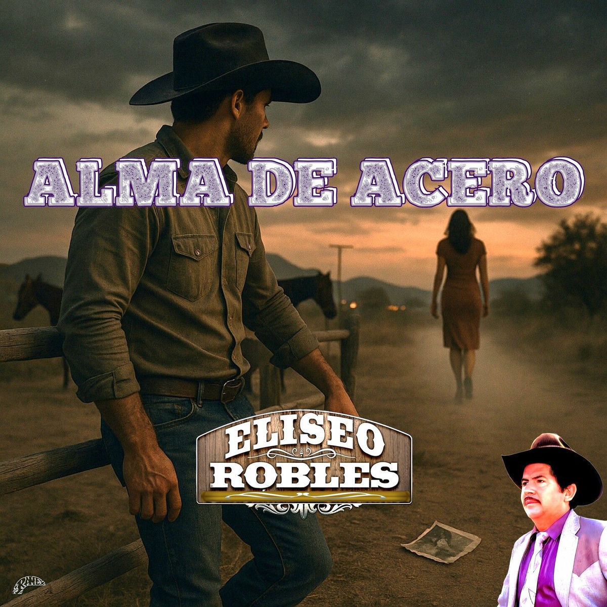 Album cover of Alma De Acero