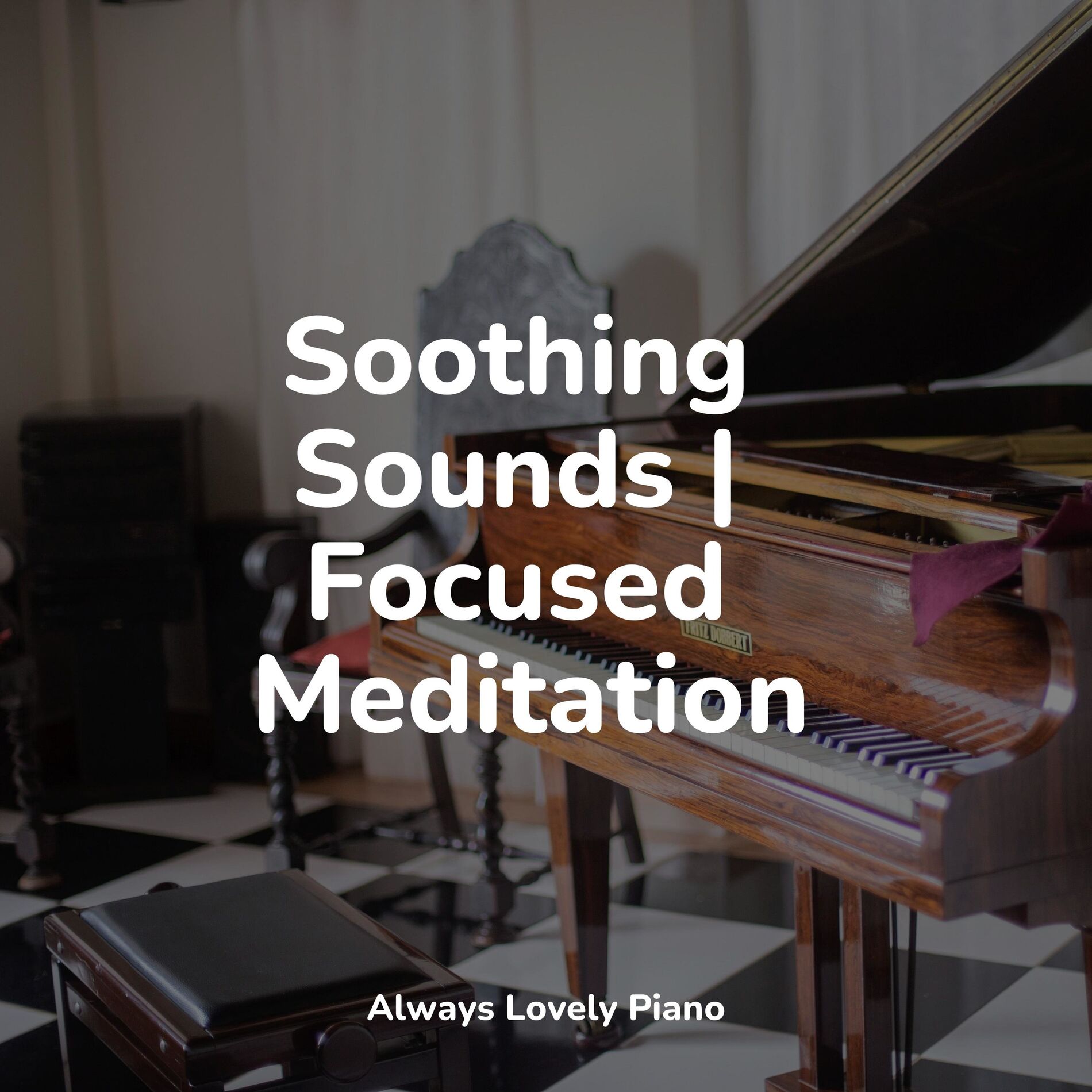 Album cover of Soothing Sounds | Focused Meditation