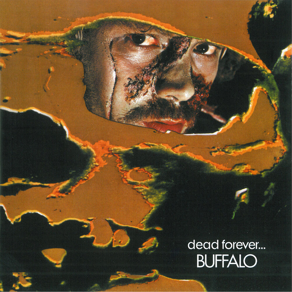 Picture of Dead Forever...