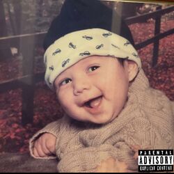 Cover of Should've known