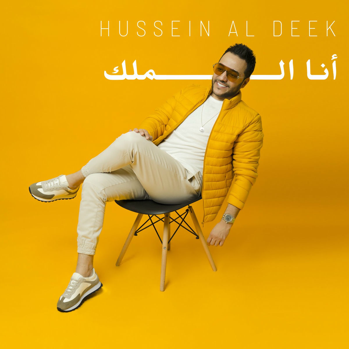 Album cover of Ana Al Malek
