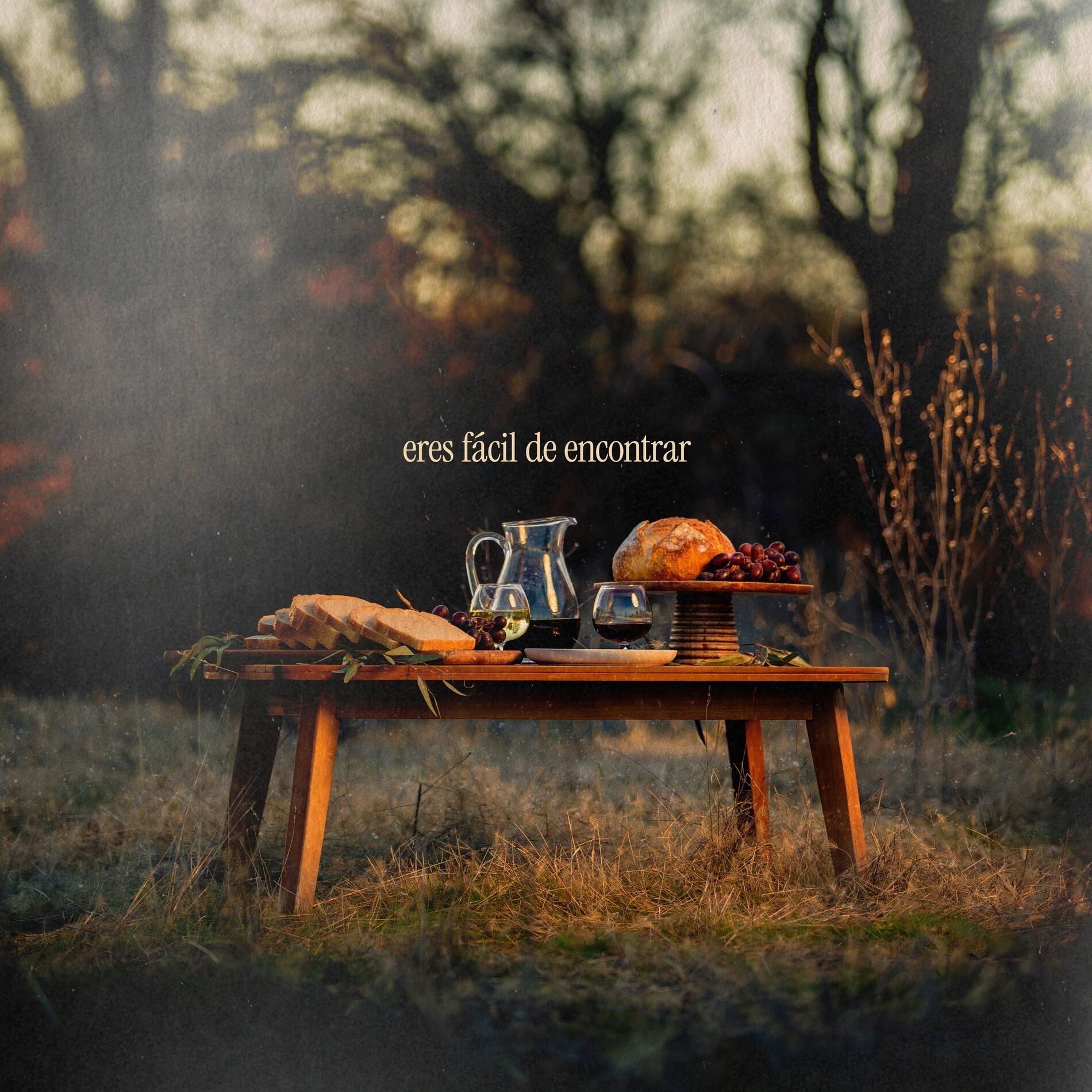 Album cover of eres fácil de encontrar