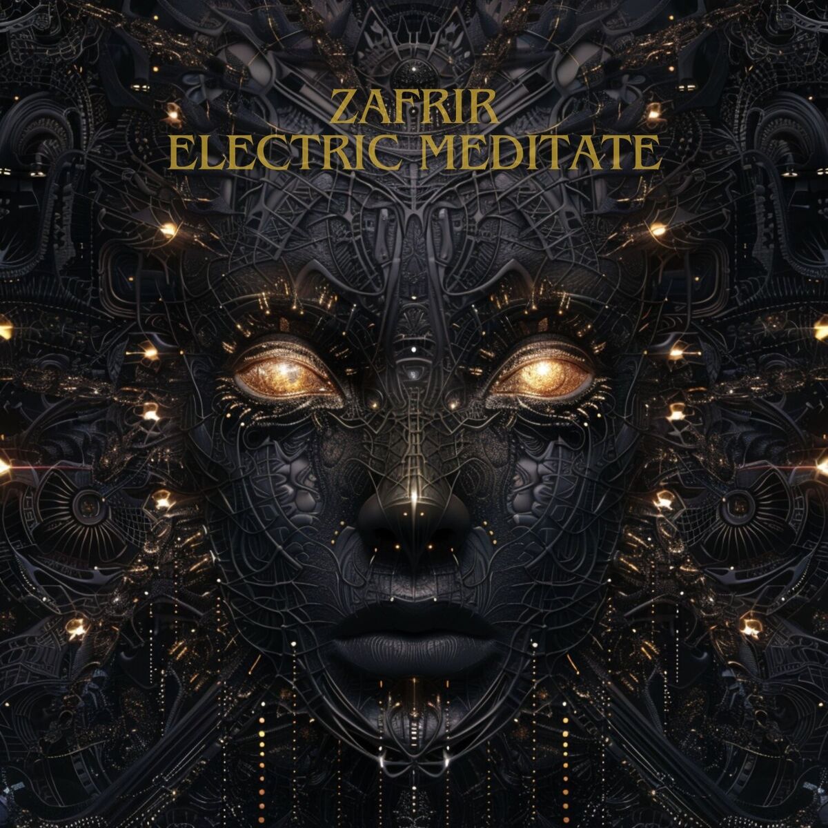 Album cover of Electric Meditate