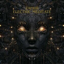 Cover of Electric Meditate