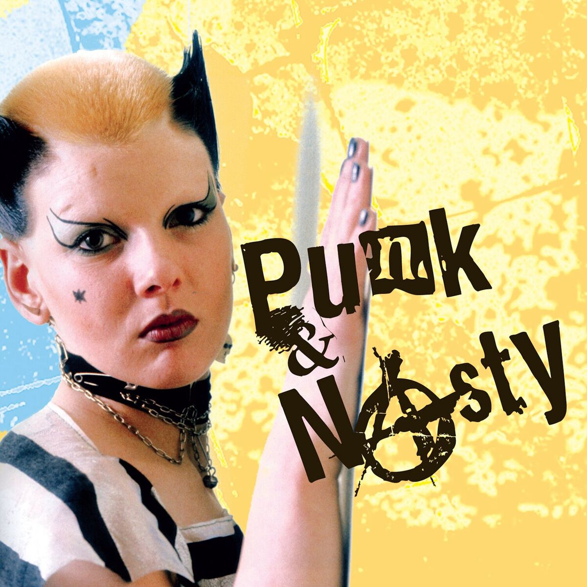 Album cover of Punk & Nasty