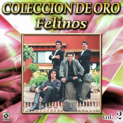 Cover of Colección de Oro, Vol. 2