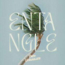 Cover of Entangle