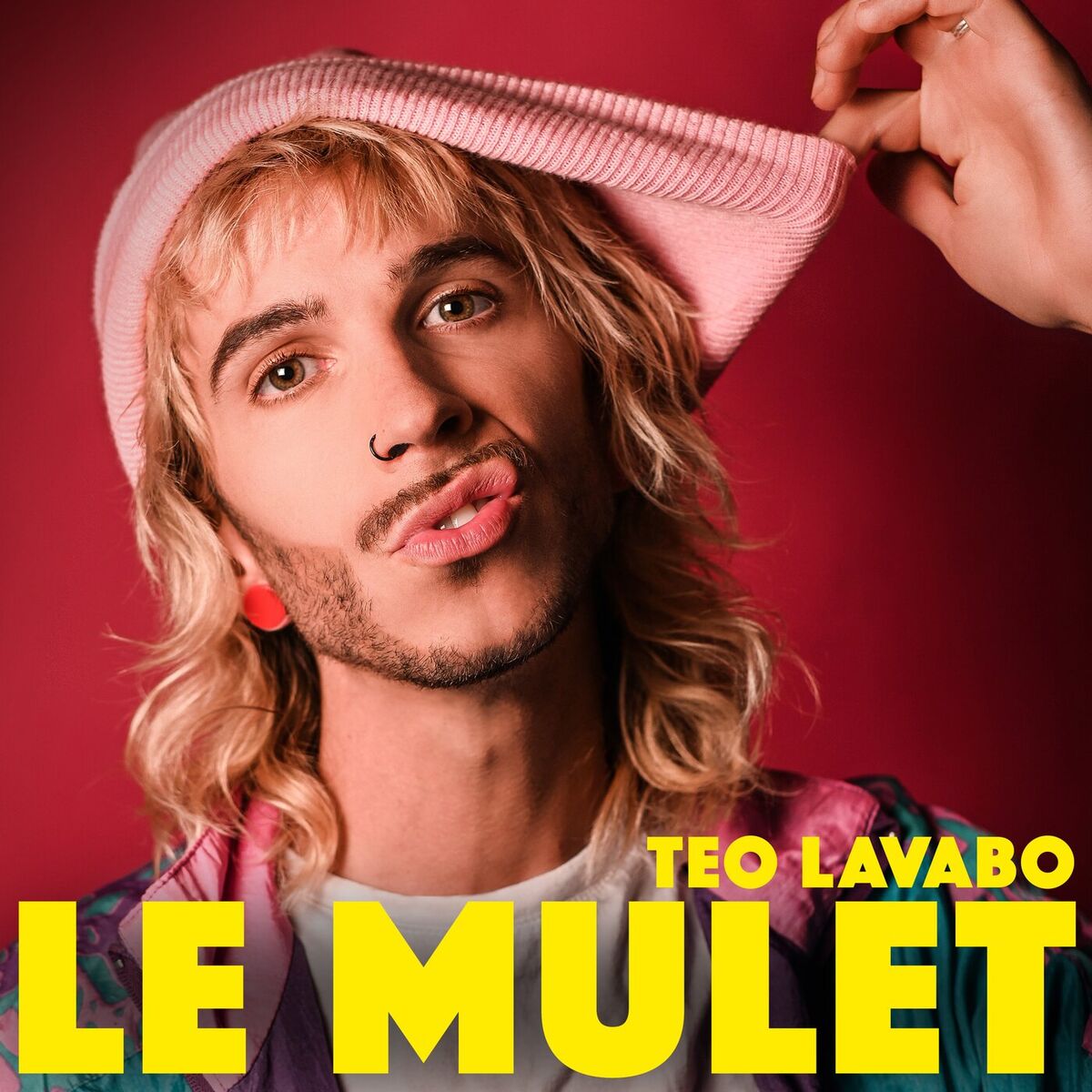 Album cover of Le Mulet
