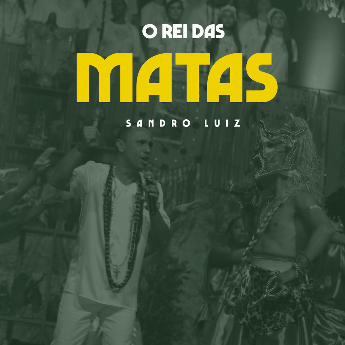 Album cover of O Rei das Matas