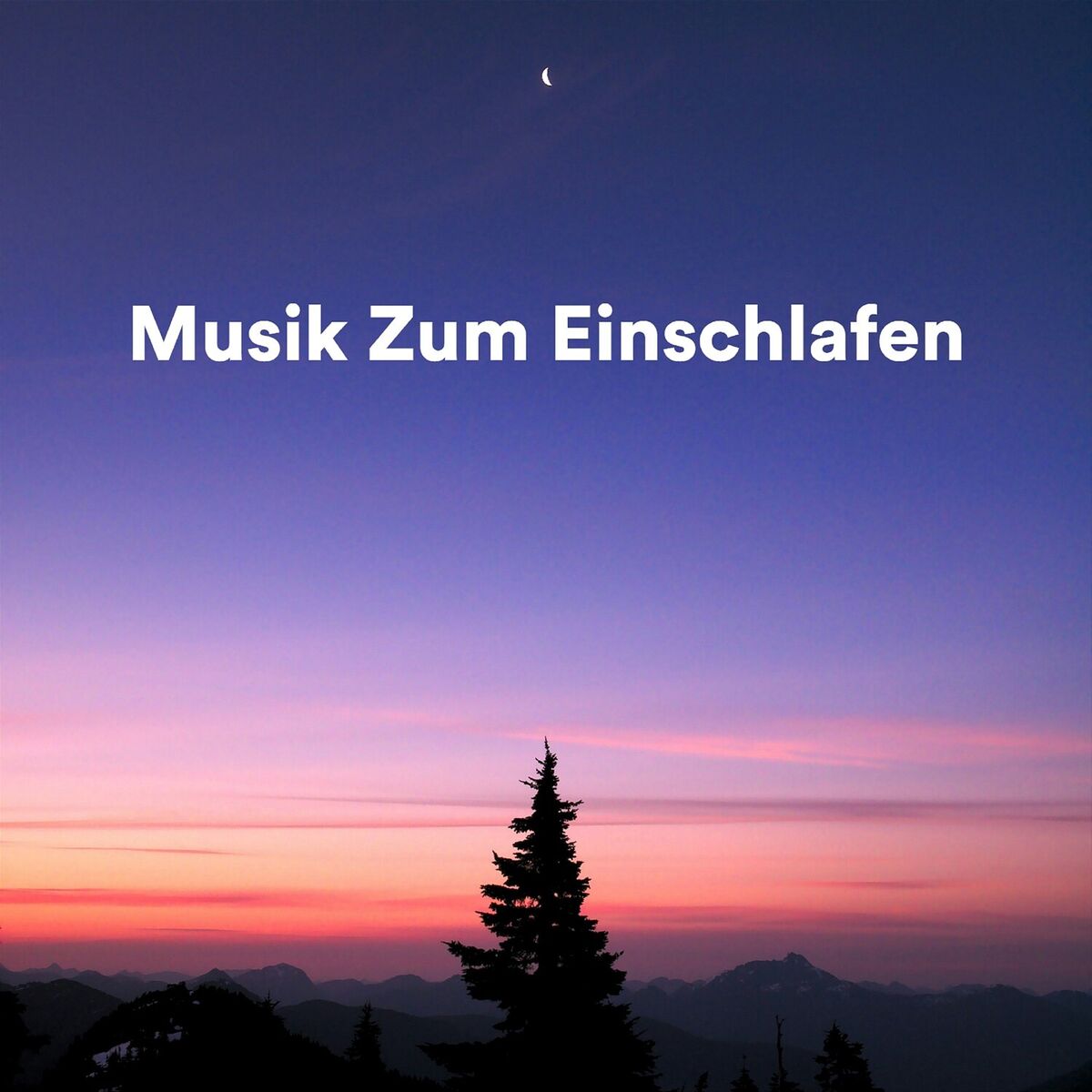 Album cover of Musik Zum Einschlafen