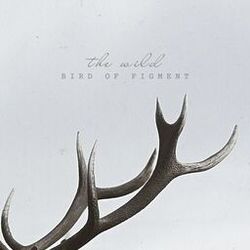 Cover of The Wild