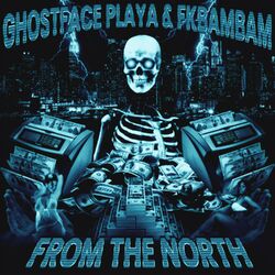 Cover of FROM THE NORTH