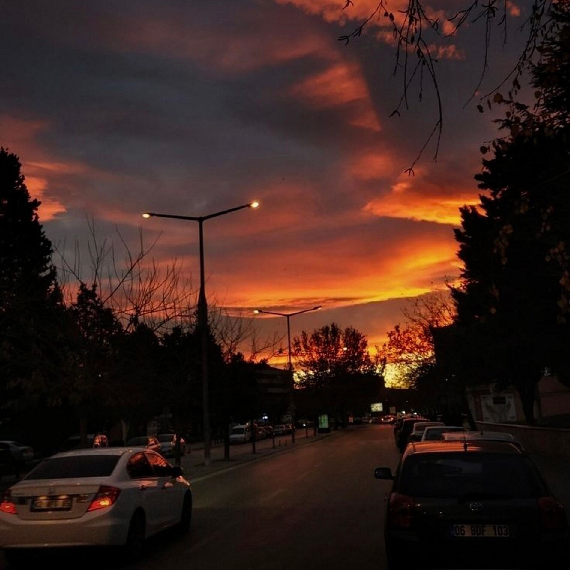 Album cover of 29°