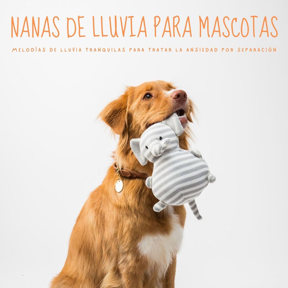 Picture of Nanas De Lluvia Para Mascotas: Melodías De Lluvia Tranquilas Para Tratar La Ansiedad Por Separación
