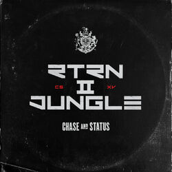 Cover of RTRN II JUNGLE