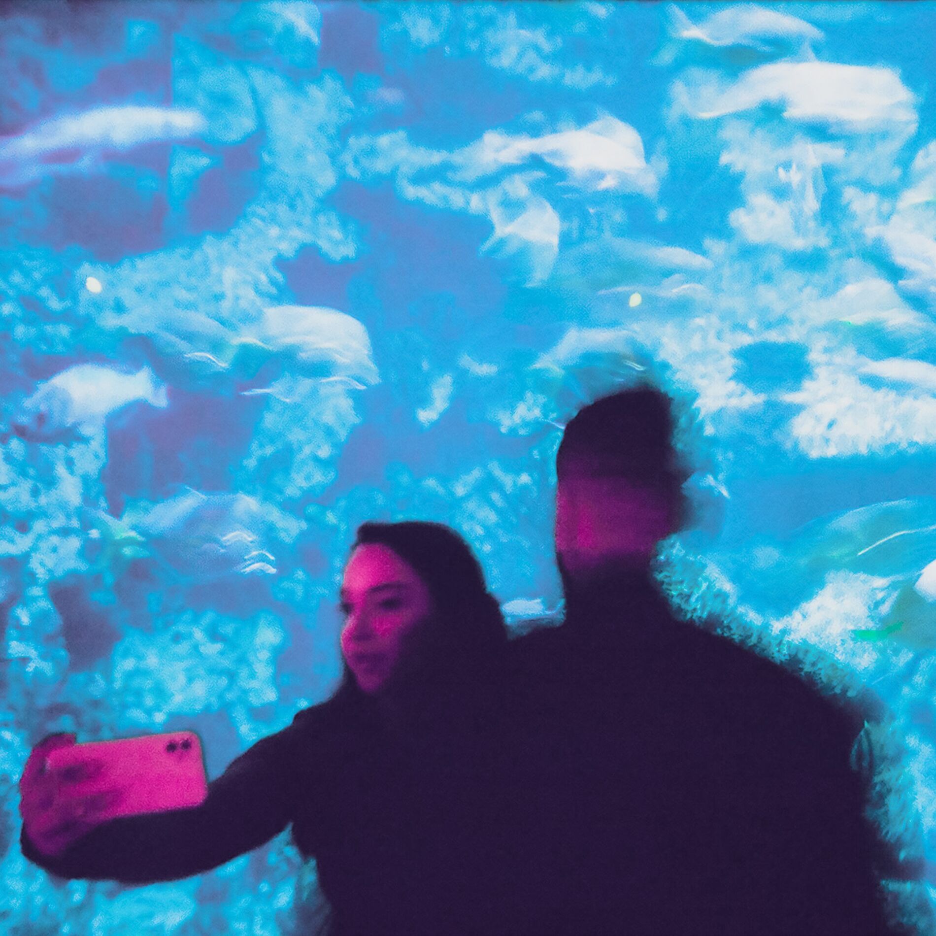 Album cover of Someone Else’s Dream