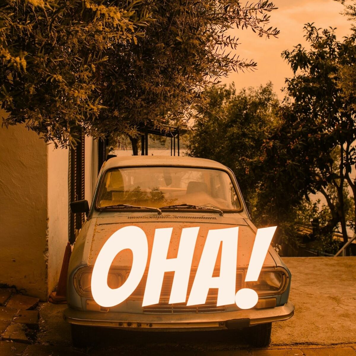 Album cover of Oha