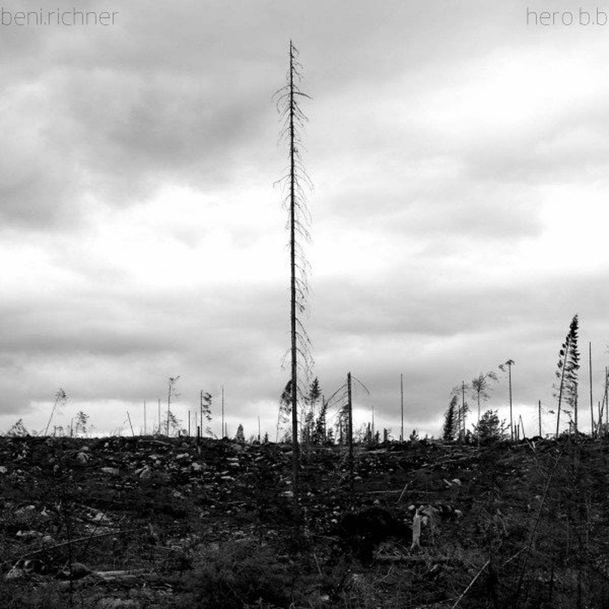 Album cover of Hero B.B