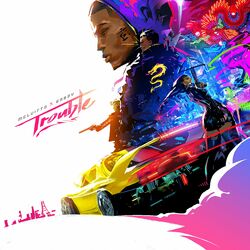 Cover of Trouble