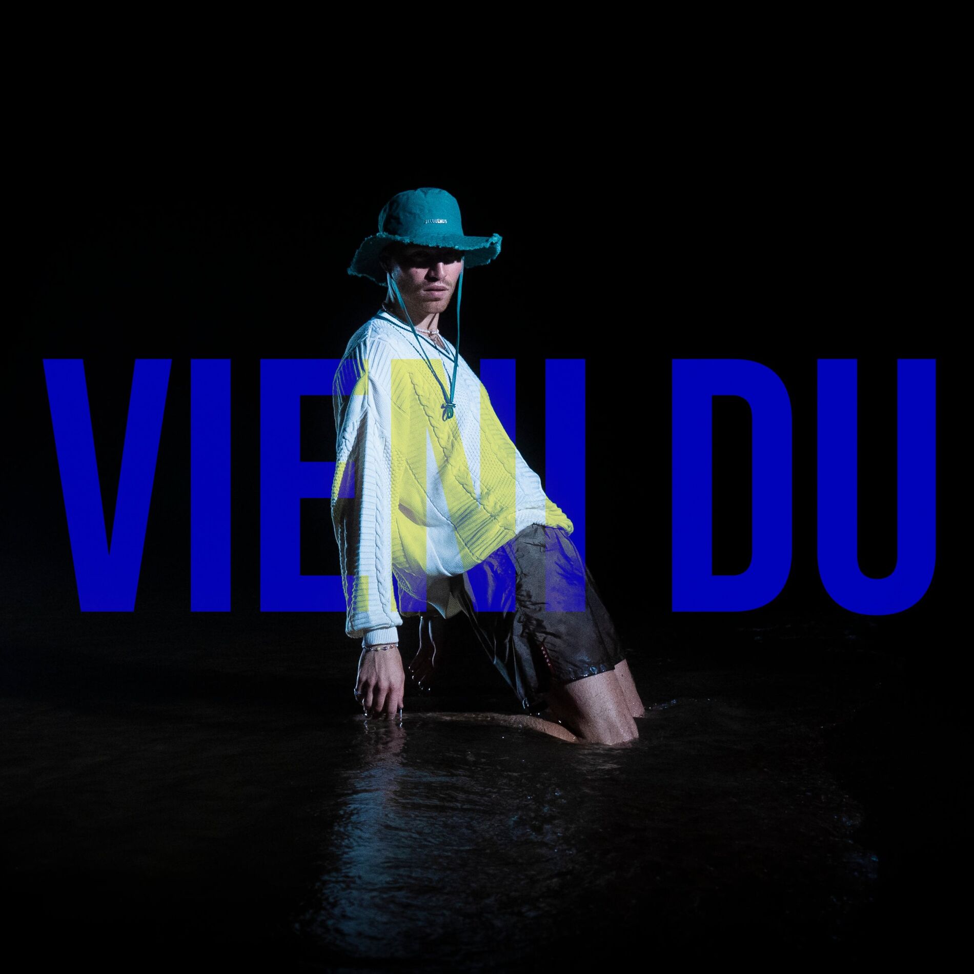 Album cover of Vieni Du