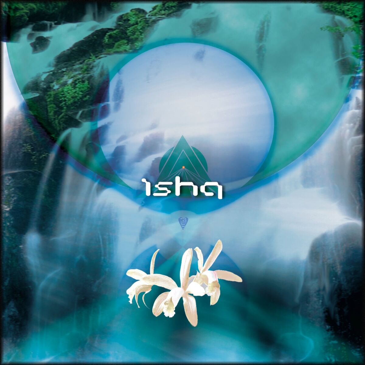 Album cover of Orchid
