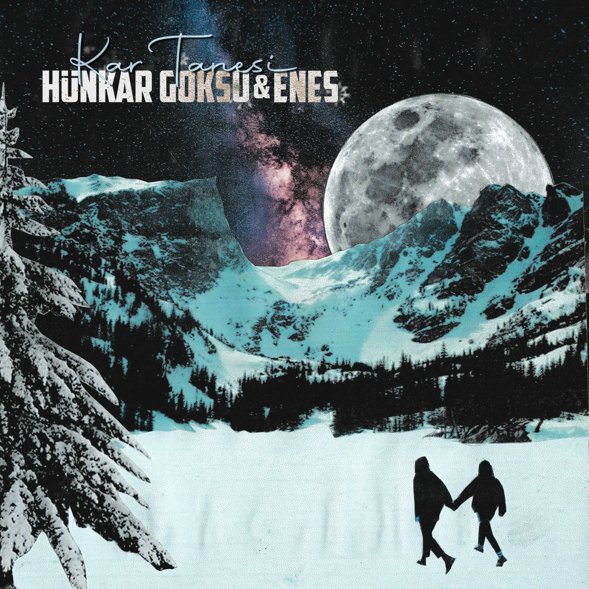 Album cover of Kar Tanesi