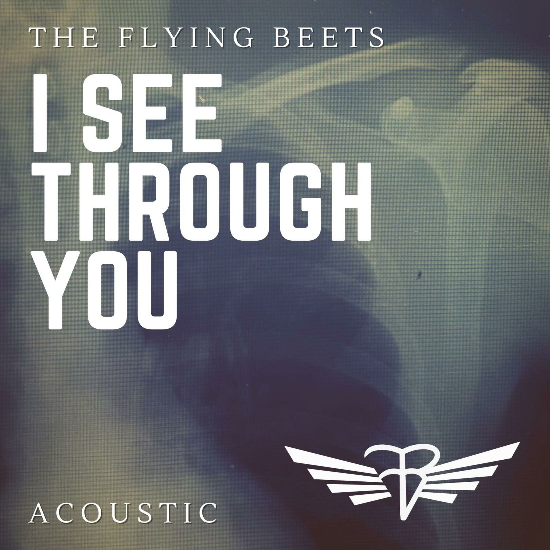 Album cover of I See Through You (Acoustic)
